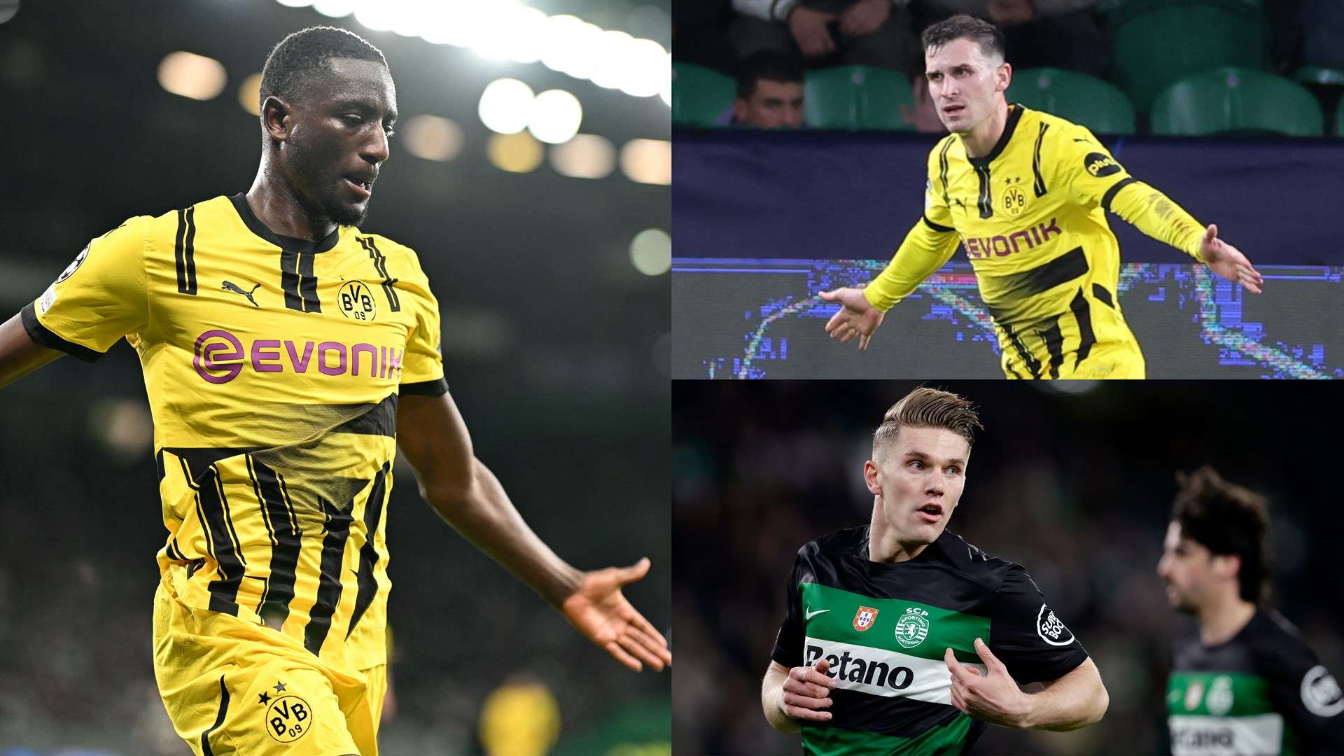 某北方中冠 某北方中冠